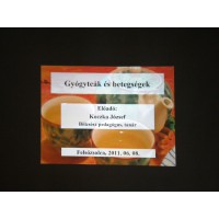 Koczka József előadássorozata - június (1)