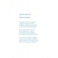 Alkotó tábor - 2010 (22)