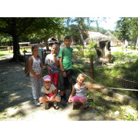 Író-Olvasó Tábor (5)