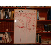Egy éjszaka a könyvtárban (54)