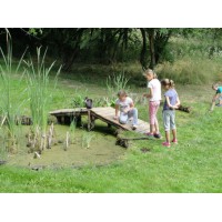 Könyvtári  tábor 2015. (14)