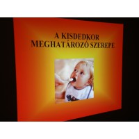 Barta Katalin előadássorozata - január (5)
